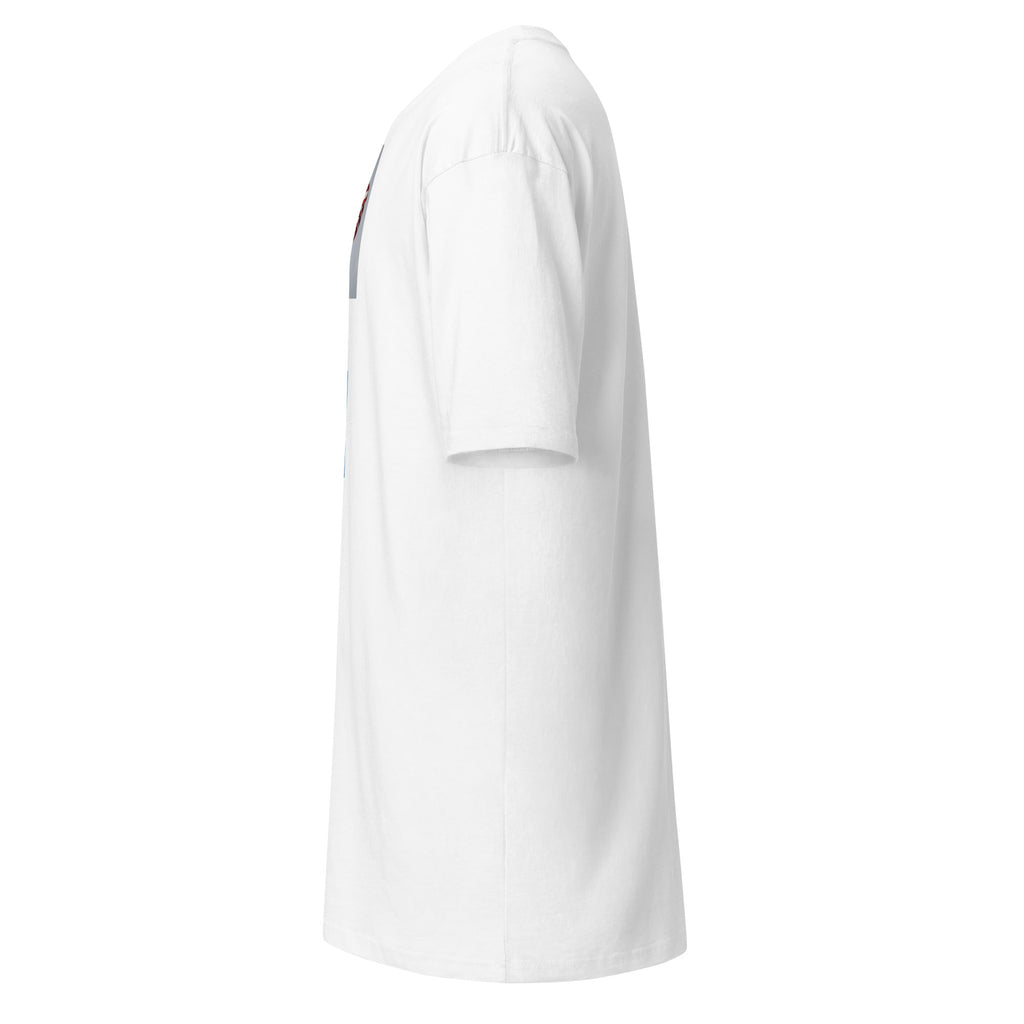Men’s premium heavyweight tee - DMC Stores