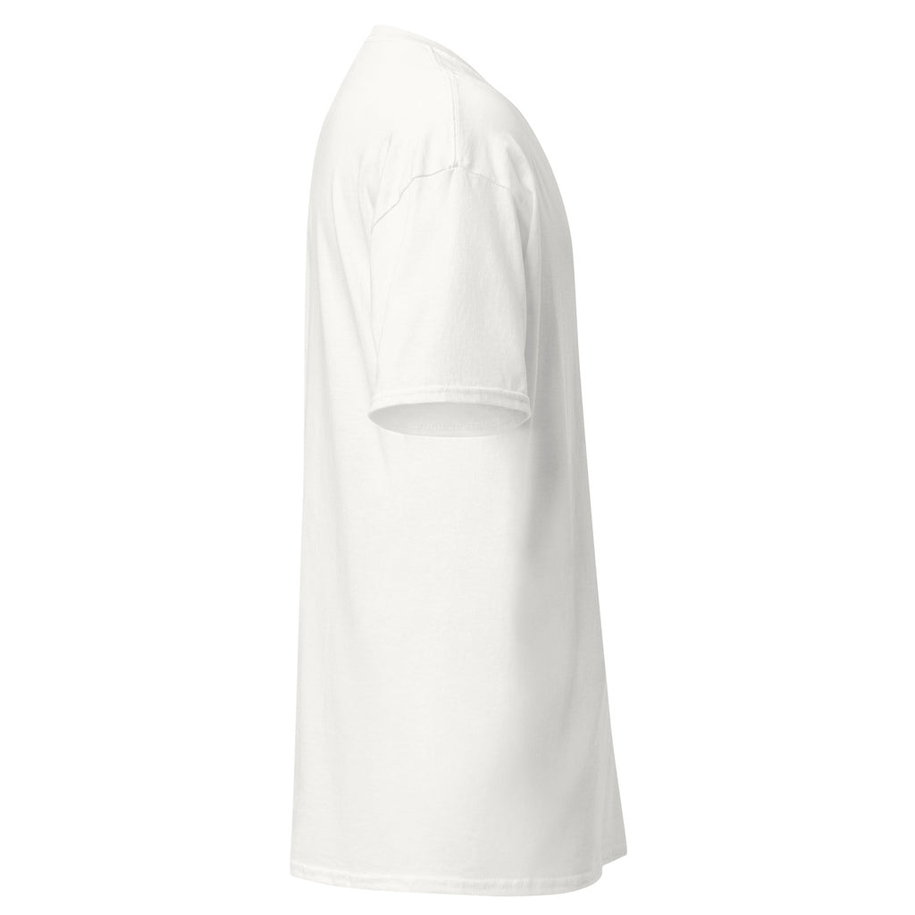 Unisex classic tee - DMC Stores