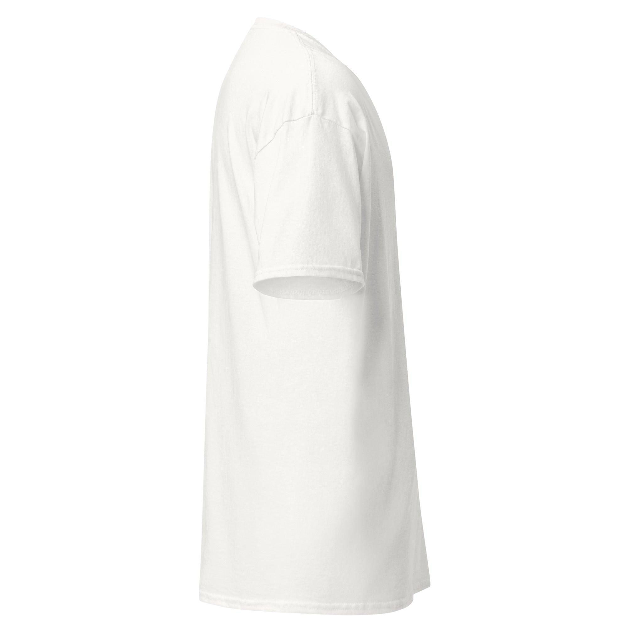 Unisex classic tee - DMC Stores