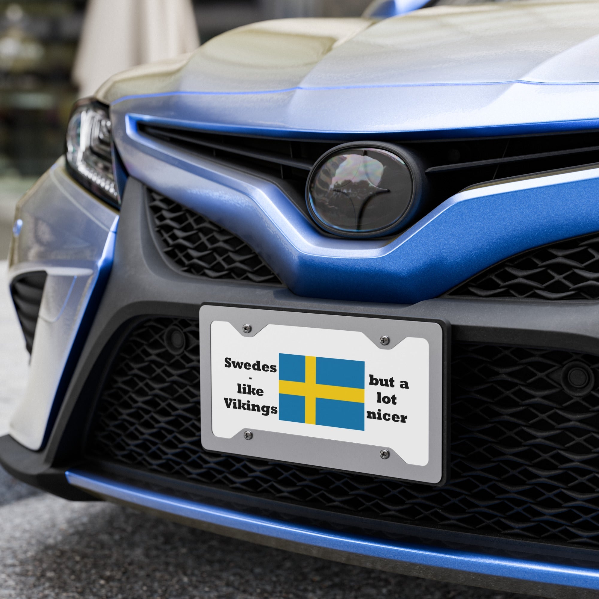 Vanity license plate - DMC Stores